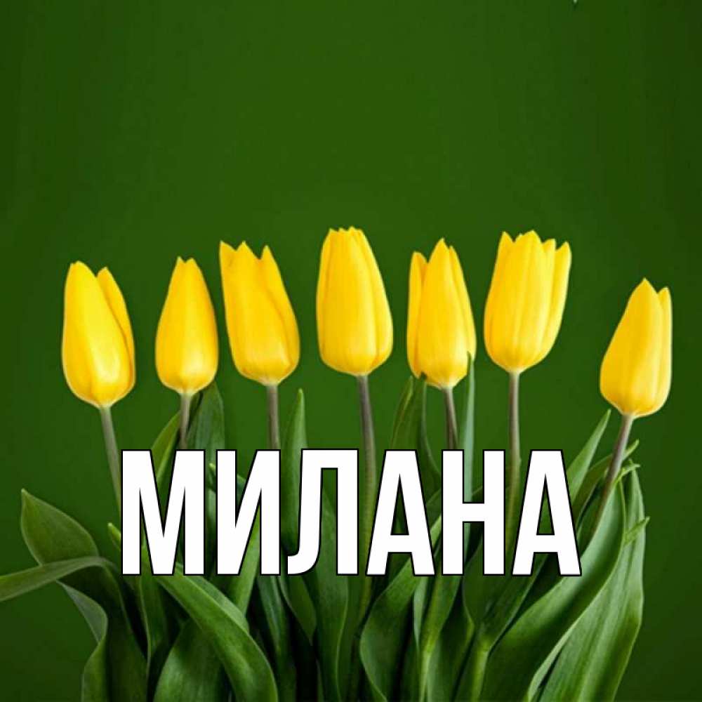 Открытка на каждый день с именем, Милана Главная желтого цвета 3 Прикольная открытка с пожеланием онлайн скачать бесплатно 