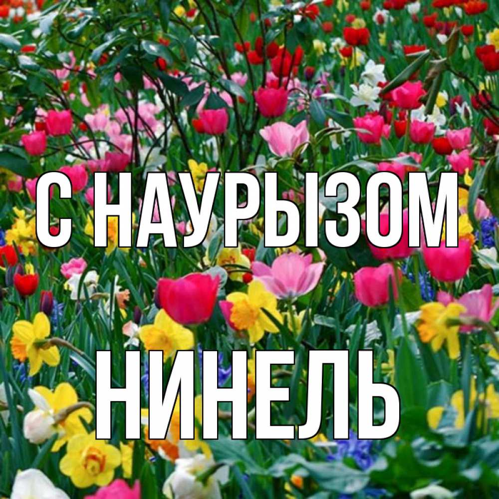Открытка на каждый день с именем, Нинель С наурызом с наурызом праздником весны поздравления для женщины Прикольная открытка с пожеланием онлайн скачать бесплатно 