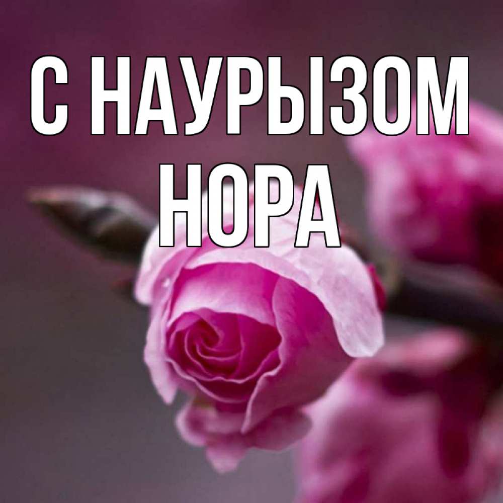 Открытка на каждый день с именем, Нора С наурызом весна Прикольная открытка с пожеланием онлайн скачать бесплатно 