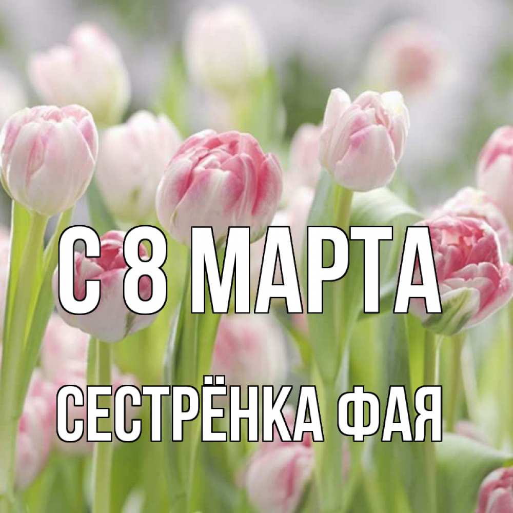 Открытка на каждый день с именем, Сестрёнка-Фая С 8 марта цветы Прикольная открытка с пожеланием онлайн скачать бесплатно 