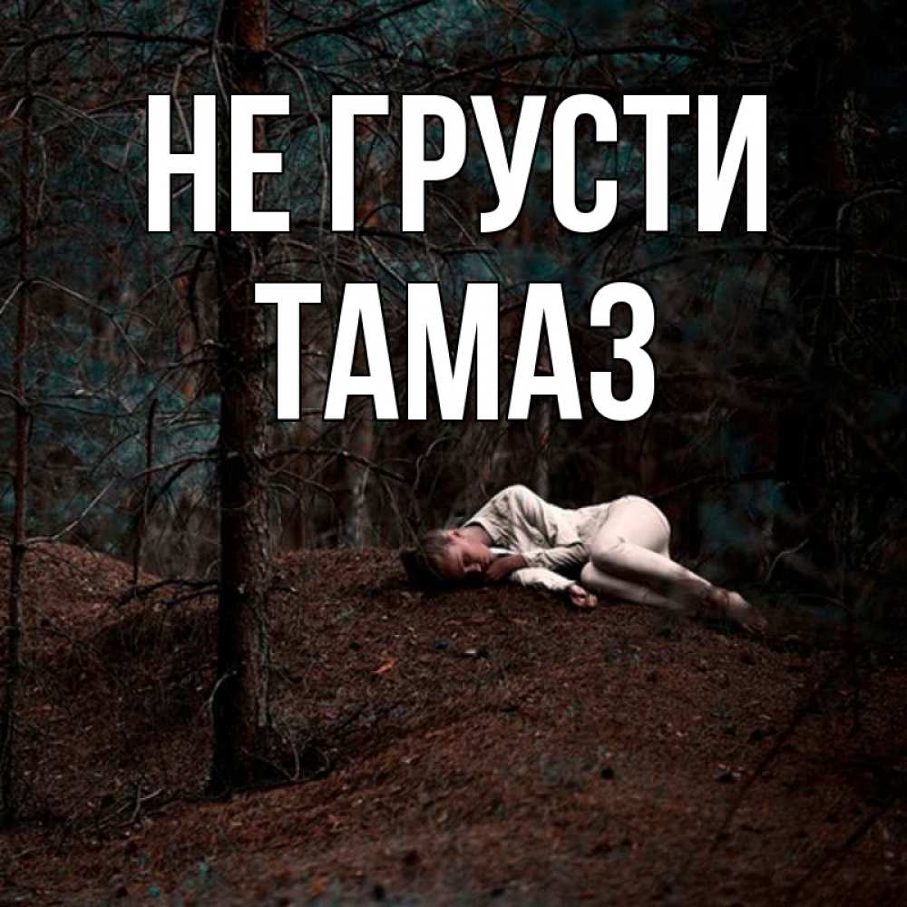 Открытка на каждый день с именем, Тамаз Не грусти лес Прикольная открытка с пожеланием онлайн скачать бесплатно 