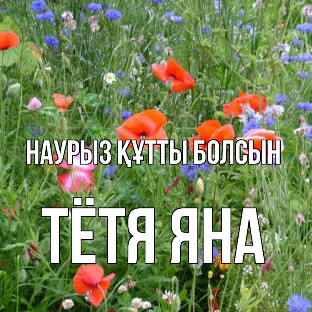 Открытка на каждый день с именем, Тётя-Яна Наурыз құтты болсын наурыз  4 Прикольная открытка с пожеланием онлайн скачать бесплатно 