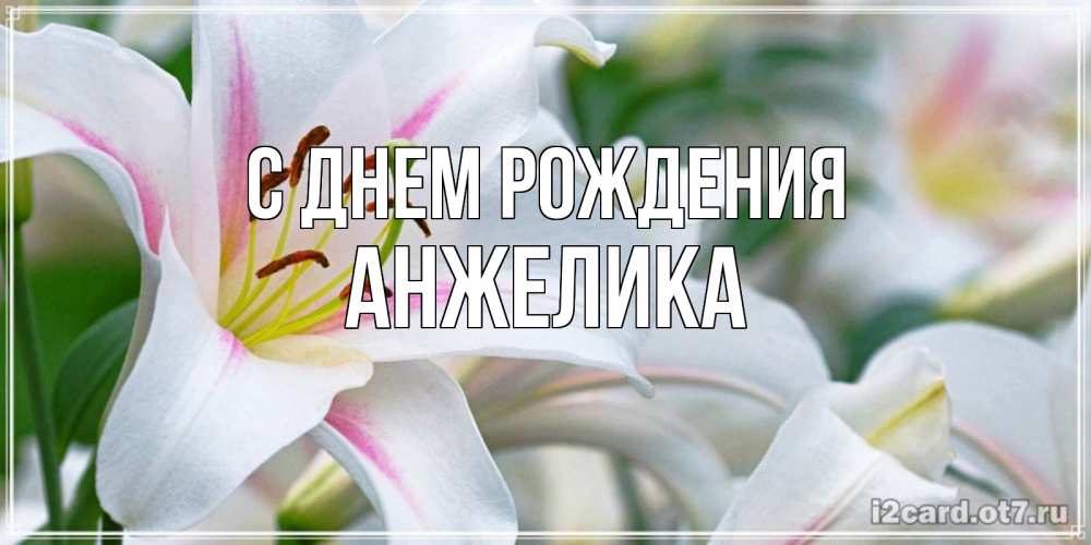 Открытка на каждый день с именем, АНЖЕЛИКА С днем рождения открытка с белой лилией Прикольная открытка с пожеланием онлайн скачать бесплатно 