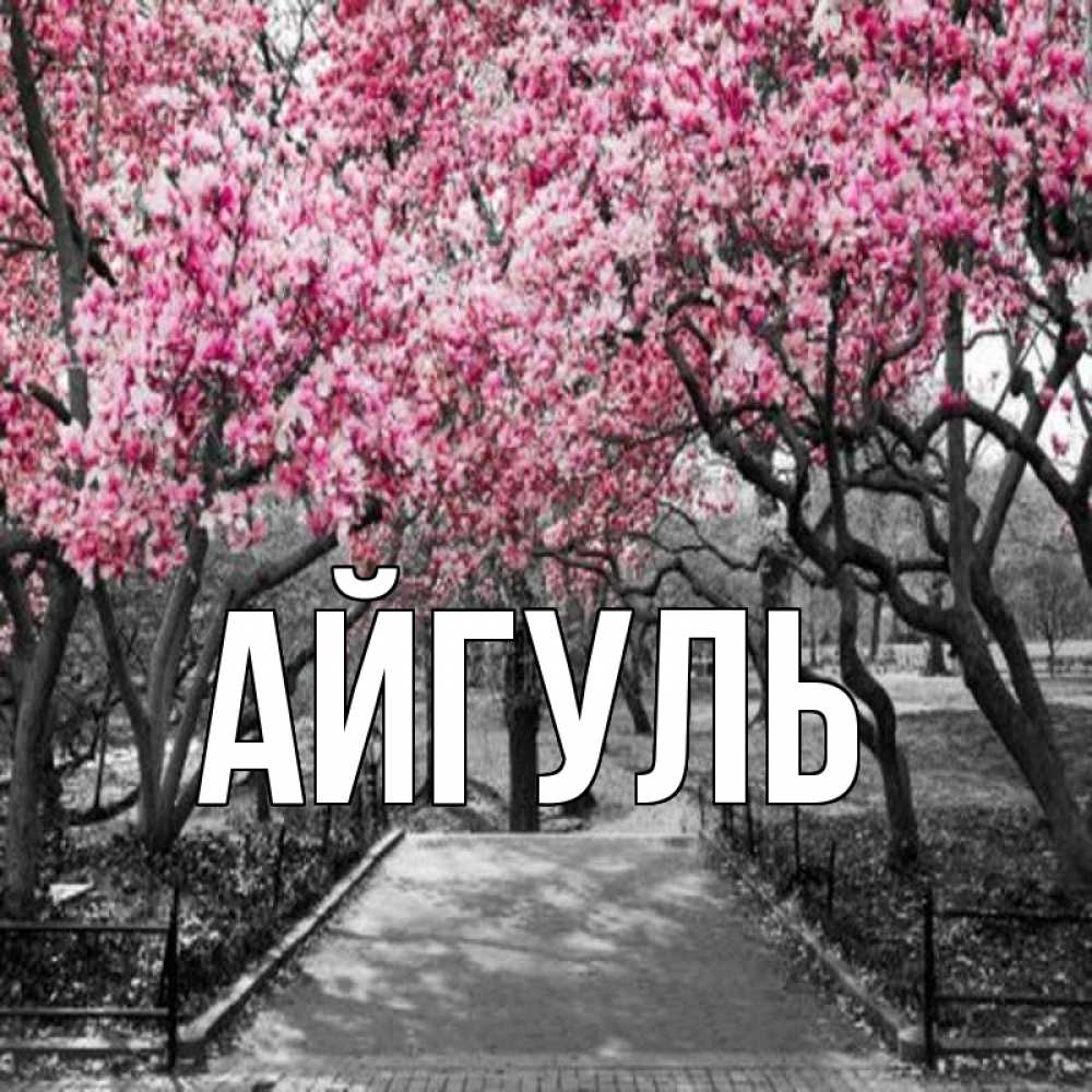 Открытка на каждый день с именем, Айгуль Главная обработанное фото Прикольная открытка с пожеланием онлайн скачать бесплатно 