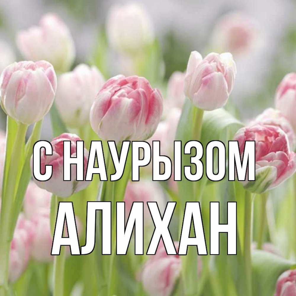 Открытка на каждый день с именем, Алихан С наурызом цветы Прикольная открытка с пожеланием онлайн скачать бесплатно 