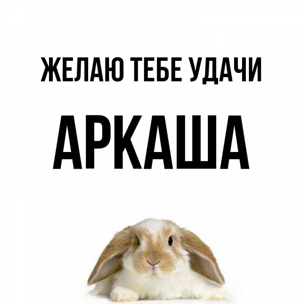 Открытка на каждый день с именем, Аркаша Желаю тебе удачи открытки с произвольным текстом который можно вставить в открытку и создать ее самостоятельно бесплатно онлайн Прикольная открытка с пожеланием онлайн скачать бесплатно 