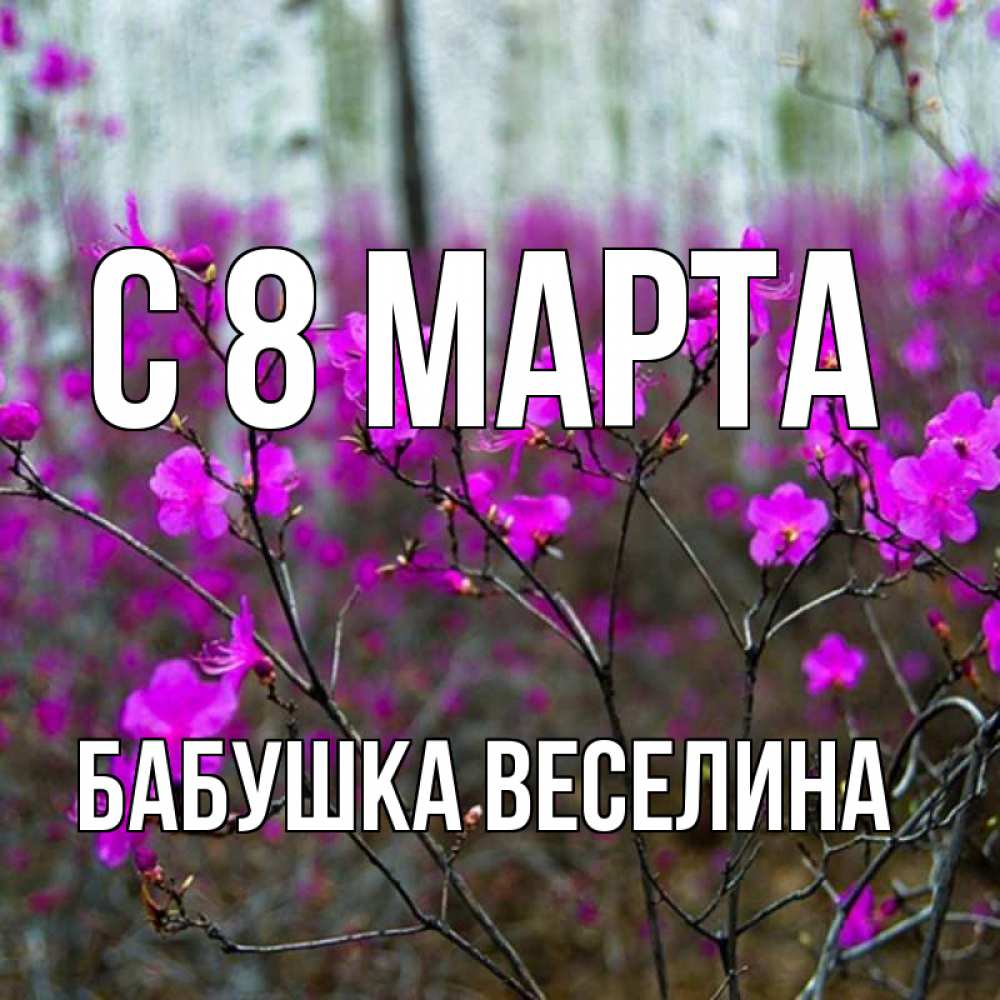 Открытка на каждый день с именем, Бабушка-Веселина С 8 МАРТА дикие цветы Прикольная открытка с пожеланием онлайн скачать бесплатно 