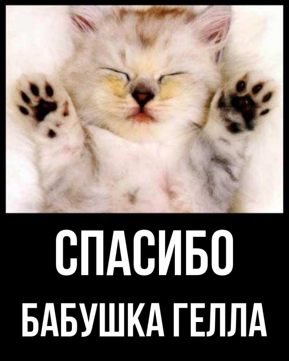 Открытка на каждый день с именем, Бабушка-Гелла Спасибо маленький котенок Прикольная открытка с пожеланием онлайн скачать бесплатно 