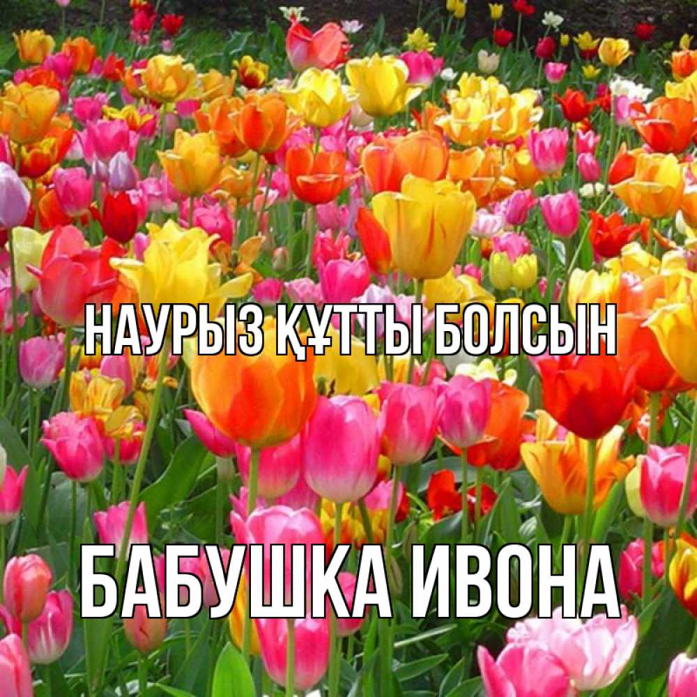 Открытка на каждый день с именем, Бабушка-Ивона Наурыз құтты болсын на наурыз  ура ура Прикольная открытка с пожеланием онлайн скачать бесплатно 