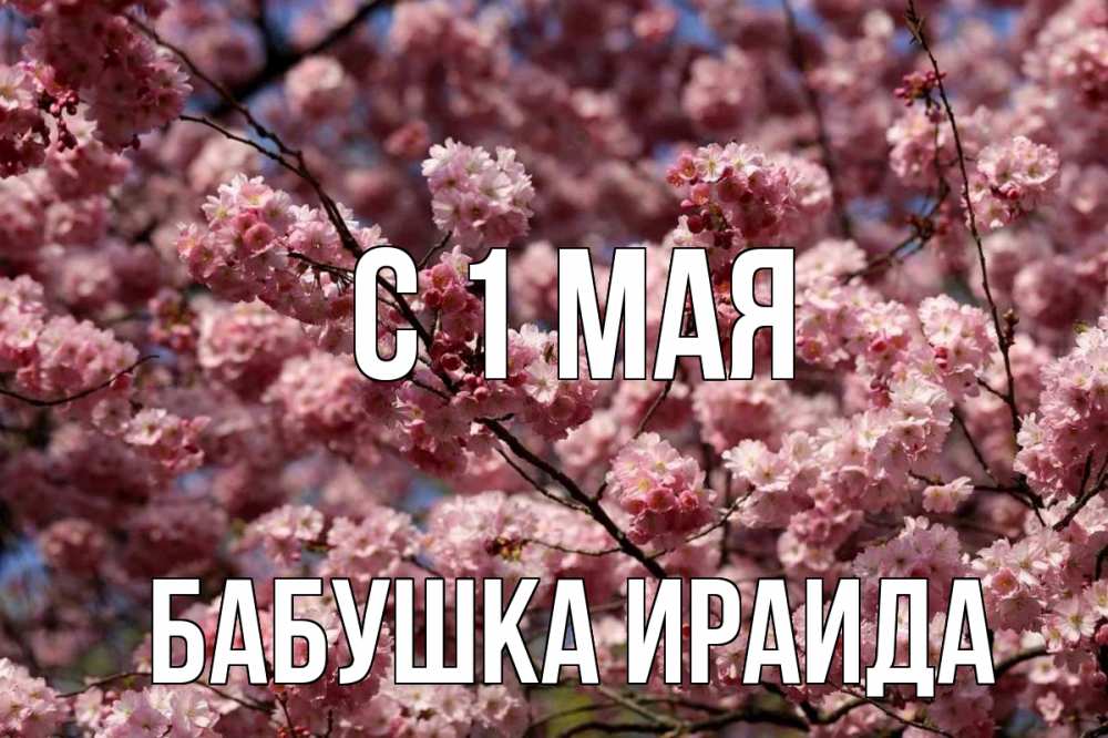 Открытка на каждый день с именем, Бабушка-Ираида С 1 мая С 1 мая Прикольная открытка с пожеланием онлайн скачать бесплатно 