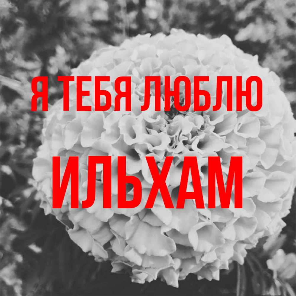 Открытка на каждый день с именем, Ильхам Я тебя люблю подпись Прикольная открытка с пожеланием онлайн скачать бесплатно 