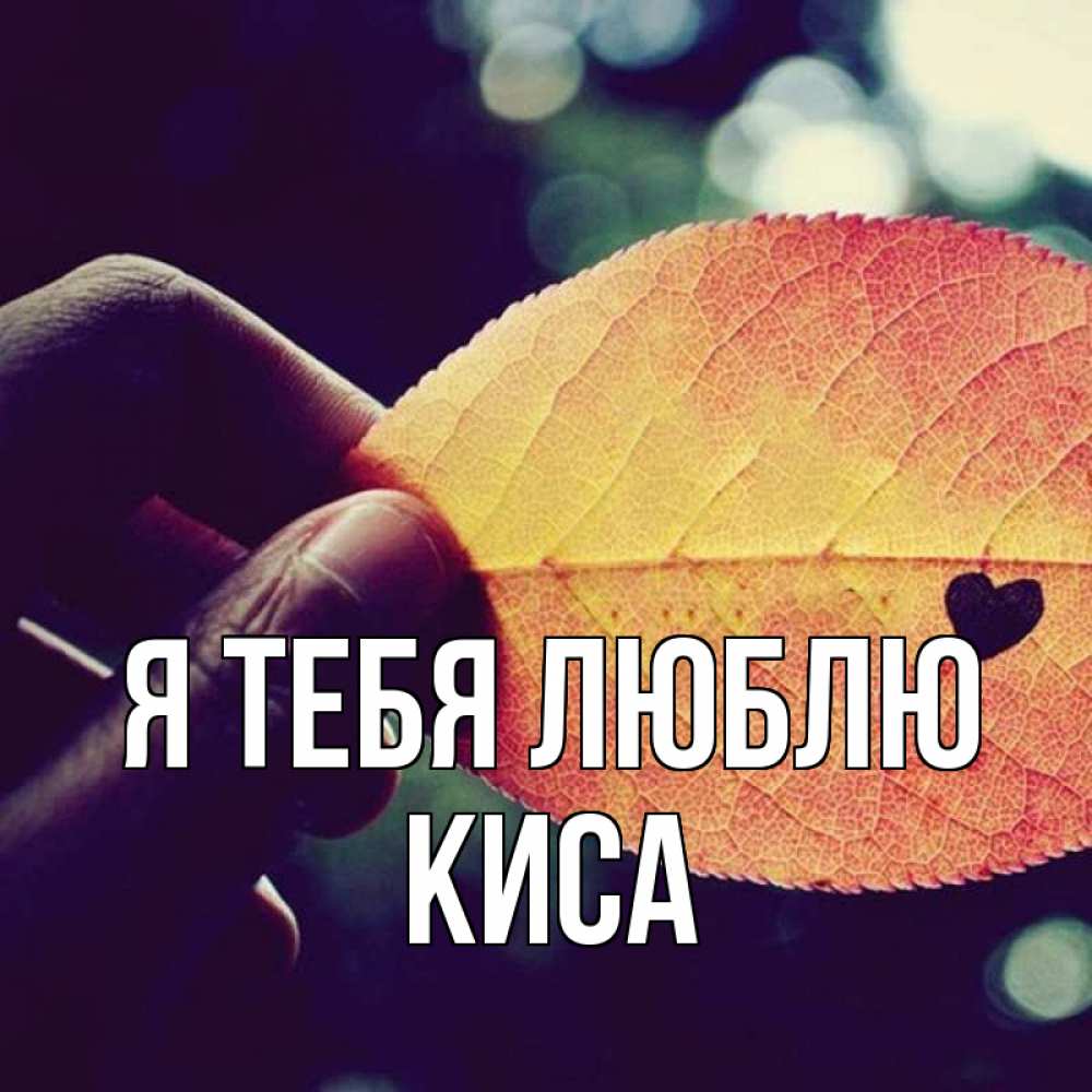 Открытка на каждый день с именем, КИСА Я тебя люблю держу лист Прикольная открытка с пожеланием онлайн скачать бесплатно 