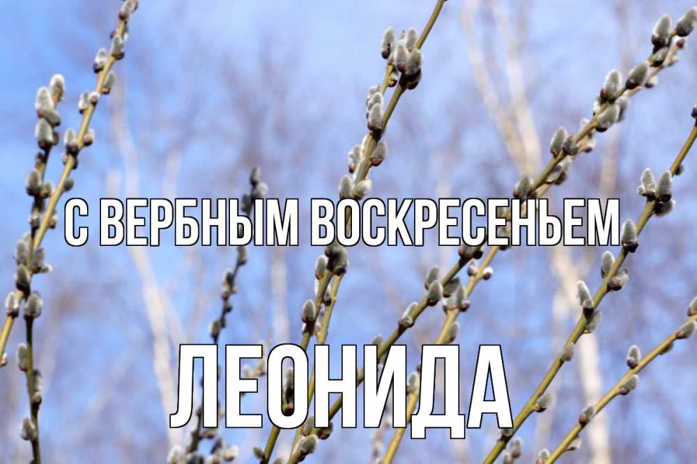 Открытка на каждый день с именем, Леонида С вербным воскресеньем верба Прикольная открытка с пожеланием онлайн скачать бесплатно 
