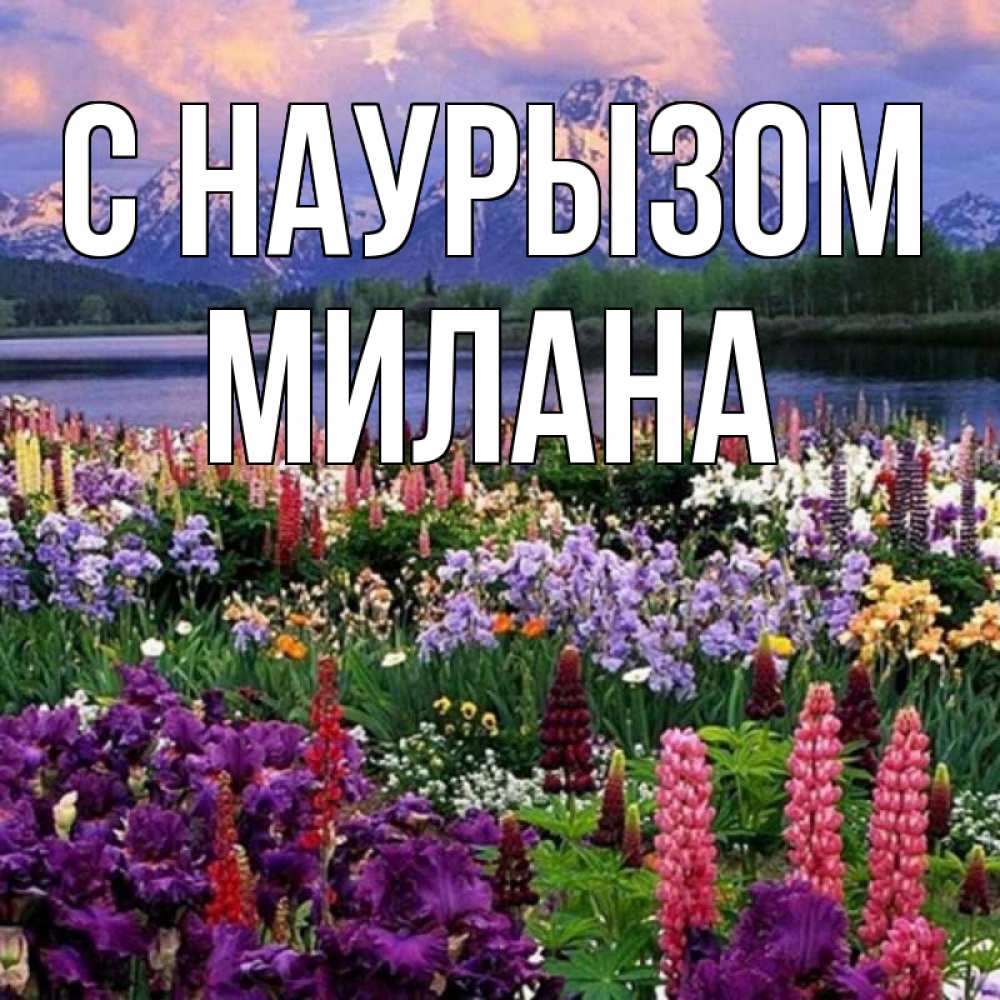 Открытка на каждый день с именем, Милана С наурызом праздник весны наурыз Прикольная открытка с пожеланием онлайн скачать бесплатно 