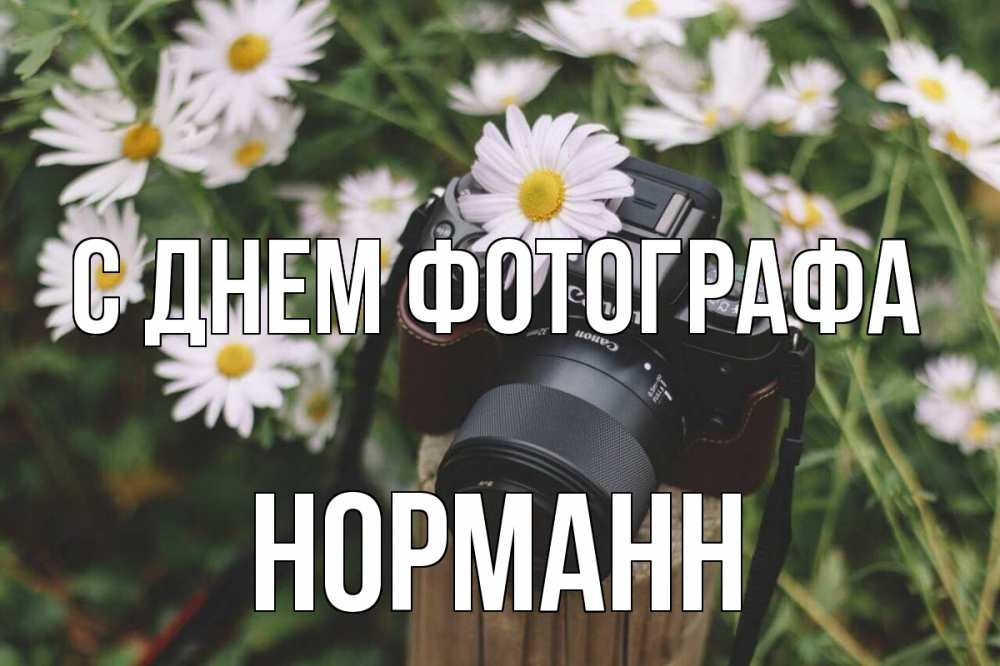 Открытка на каждый день с именем, Норманн С днем фотографа с днем фотографа Прикольная открытка с пожеланием онлайн скачать бесплатно 