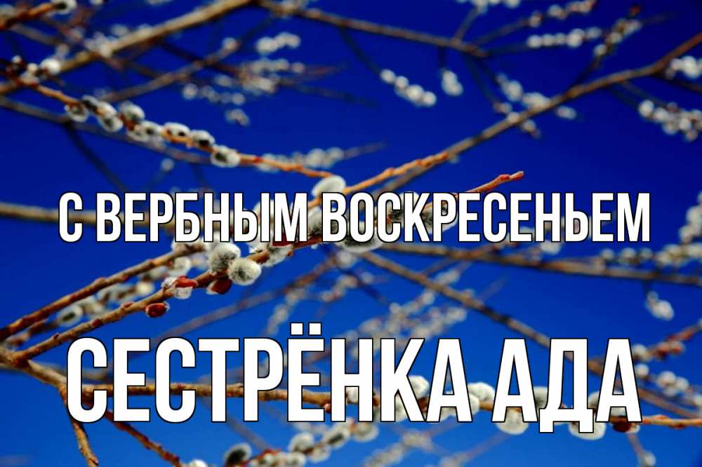 Открытка на каждый день с именем, Сестрёнка-Ада С вербным воскресеньем верба Прикольная открытка с пожеланием онлайн скачать бесплатно 