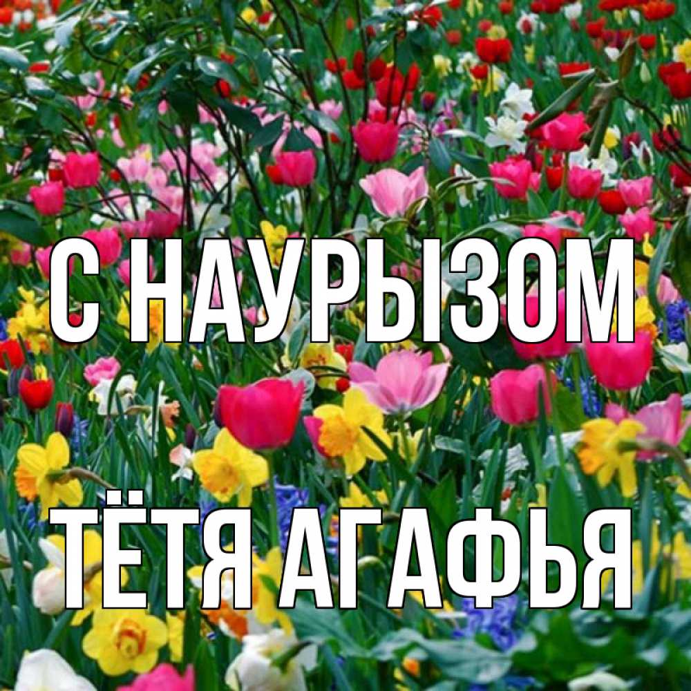 Открытка на каждый день с именем, Тётя-Агафья С наурызом с наурызом праздником весны поздравления для женщины Прикольная открытка с пожеланием онлайн скачать бесплатно 
