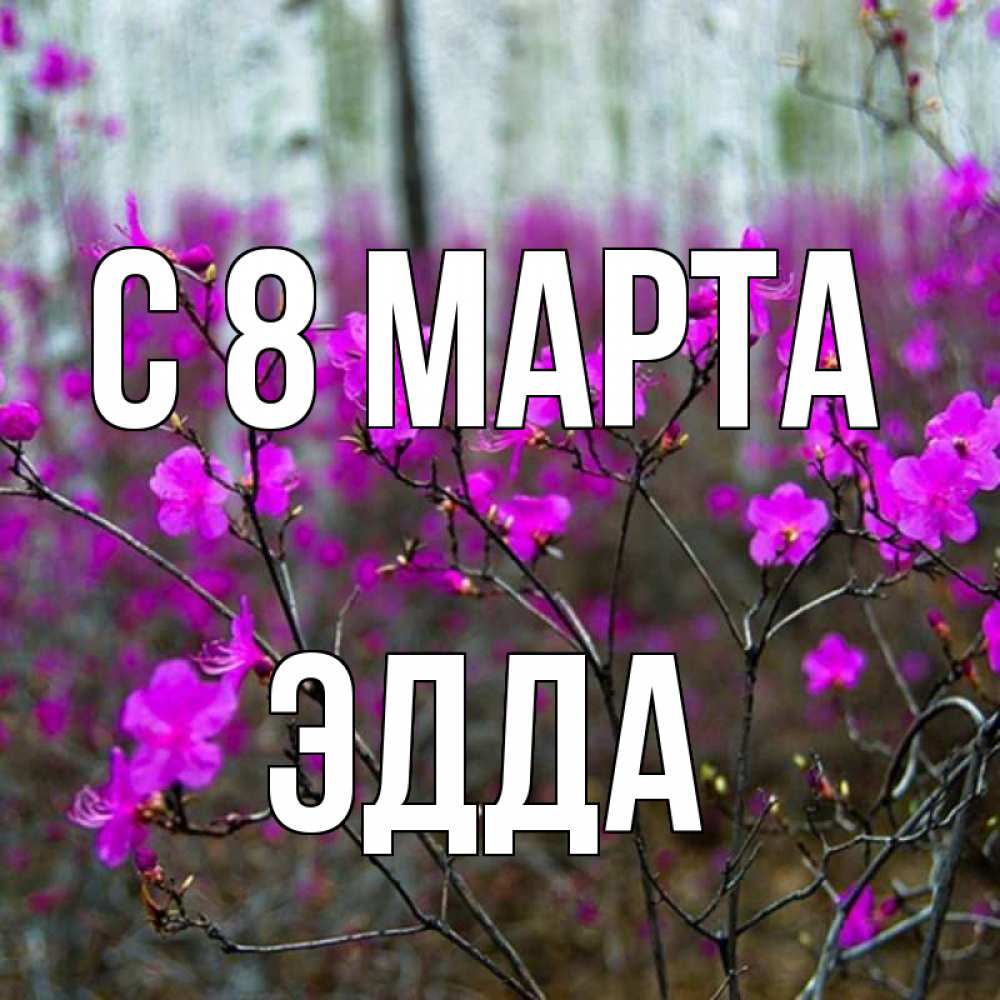 Открытка на каждый день с именем, Эдда С 8 МАРТА дикие цветы Прикольная открытка с пожеланием онлайн скачать бесплатно 