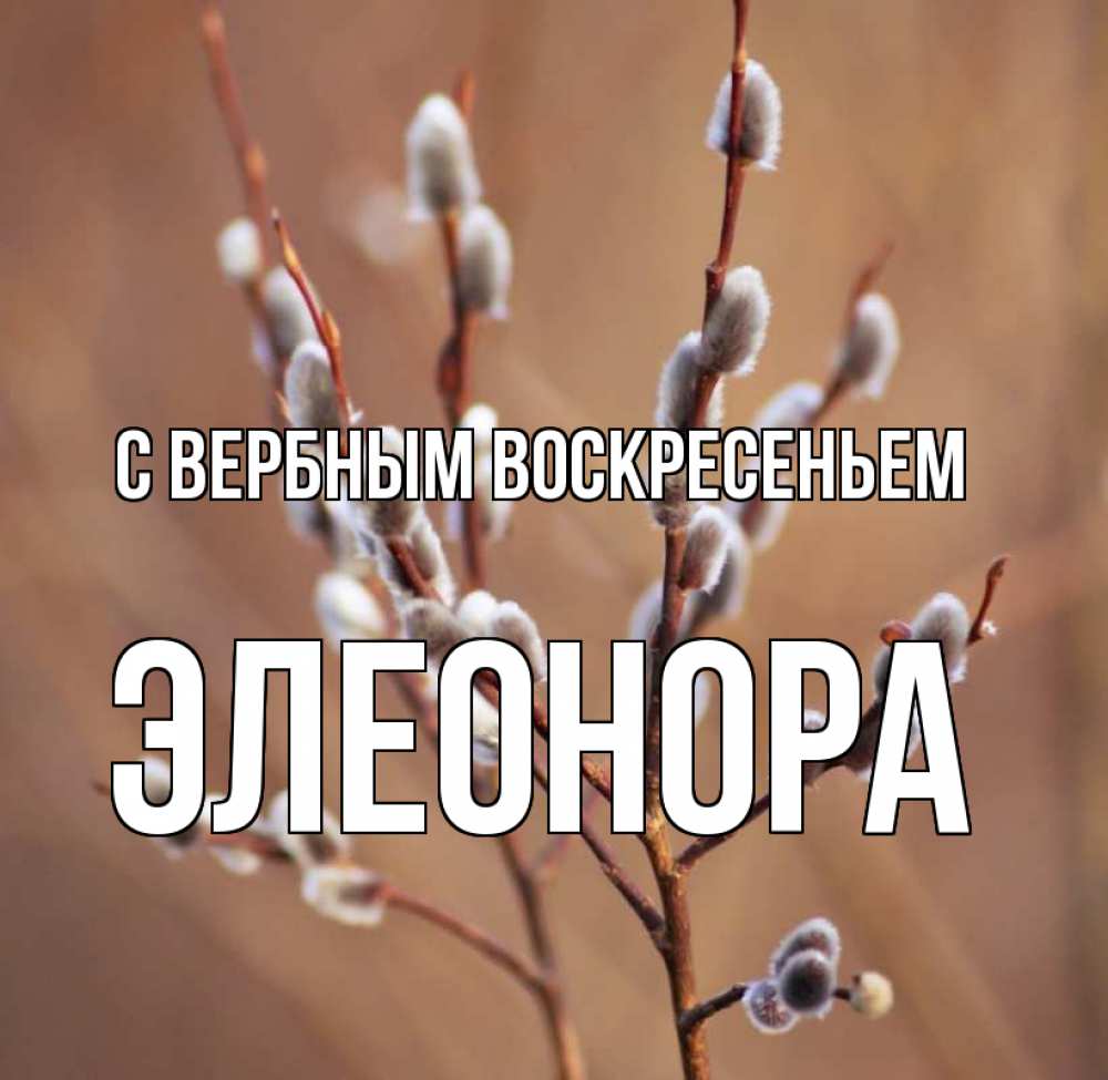 Открытка на каждый день с именем, Элеонора С вербным воскресеньем верба Прикольная открытка с пожеланием онлайн скачать бесплатно 