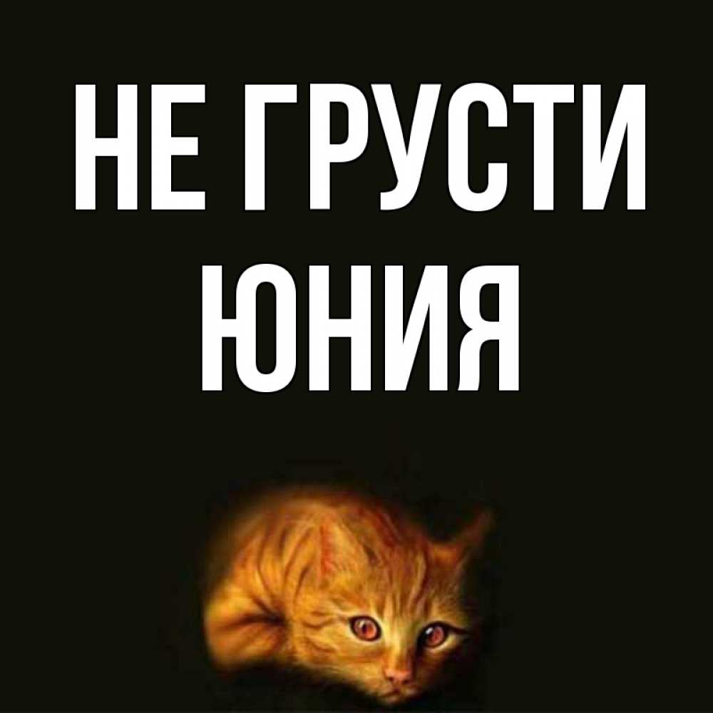 Открытка на каждый день с именем, Юния Не грусти лежащий кот в темноте Прикольная открытка с пожеланием онлайн скачать бесплатно 