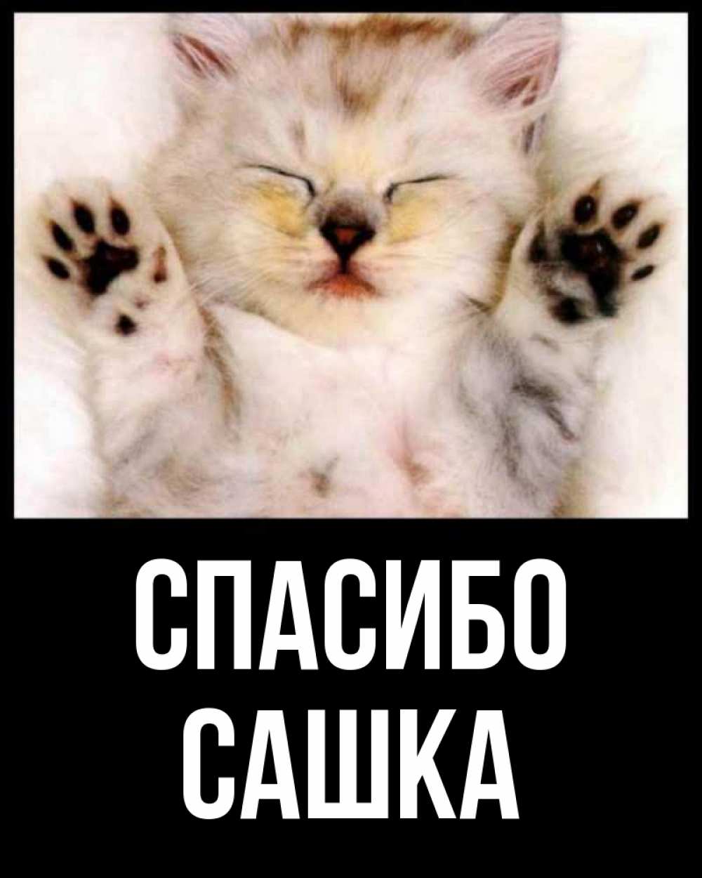 Картинки спасибо сашенька