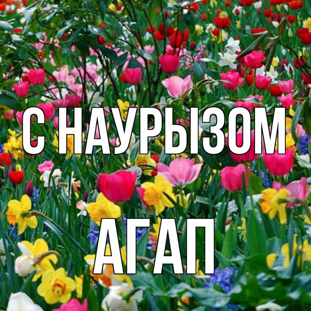 Открытка на каждый день с именем, Агап С наурызом с наурызом праздником весны поздравления для женщины Прикольная открытка с пожеланием онлайн скачать бесплатно 