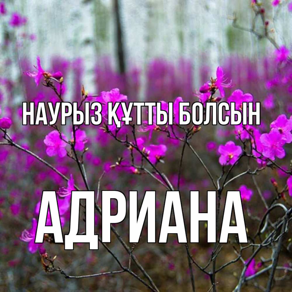 Открытка на каждый день с именем, Адриана Наурыз құтты болсын дикие цветы Прикольная открытка с пожеланием онлайн скачать бесплатно 