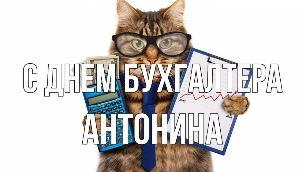 Открытка на каждый день с именем, Антонина С днем бухгалтера с днем бухгалтера Прикольная открытка с пожеланием онлайн скачать бесплатно 