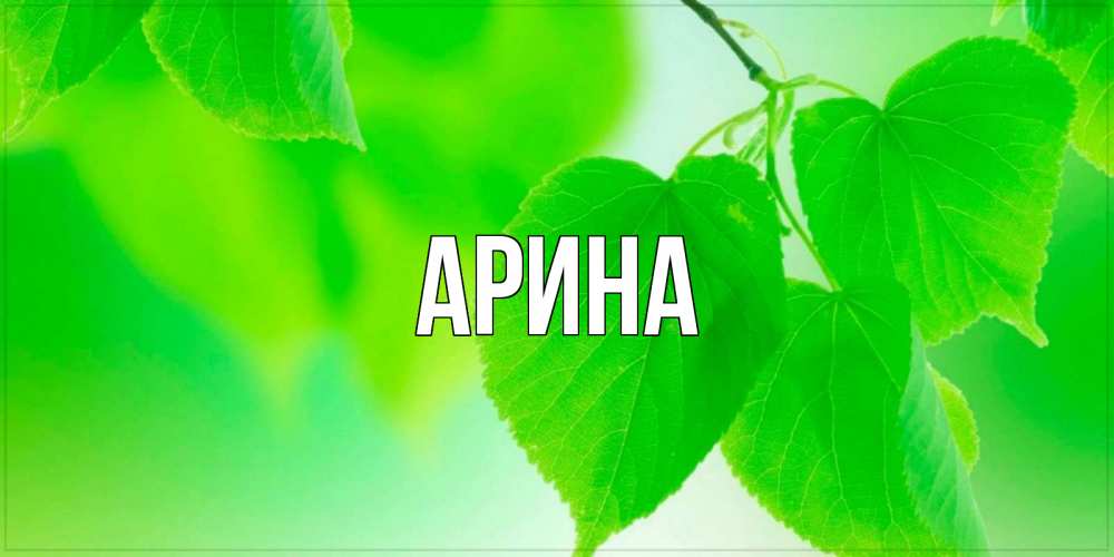 Открытка на каждый день с именем, Арина Главная доброе утро с березовыми листьями Прикольная открытка с пожеланием онлайн скачать бесплатно 
