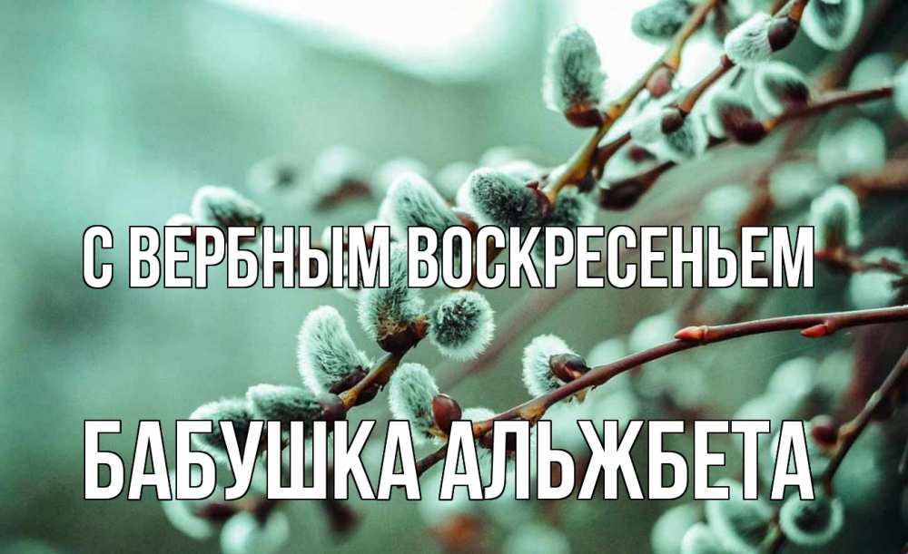 Открытка на каждый день с именем, Бабушка-Альжбета С вербным воскресеньем верба Прикольная открытка с пожеланием онлайн скачать бесплатно 