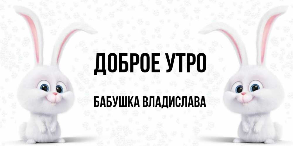 Открытка на каждый день с именем, Бабушка-Владислава Доброе утро кролики с длинными ушками Прикольная открытка с пожеланием онлайн скачать бесплатно 