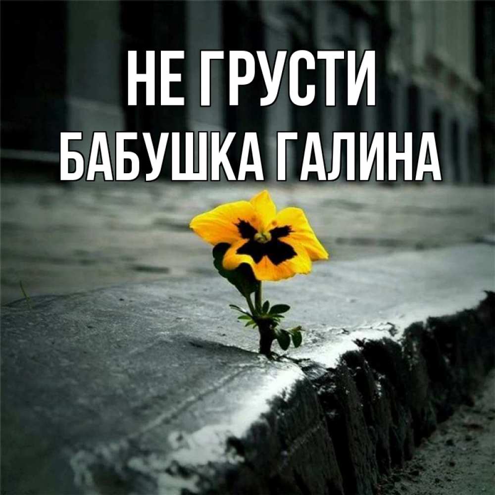 Открытка на каждый день с именем, Бабушка-Галина Не грусти не сдавайся Прикольная открытка с пожеланием онлайн скачать бесплатно 