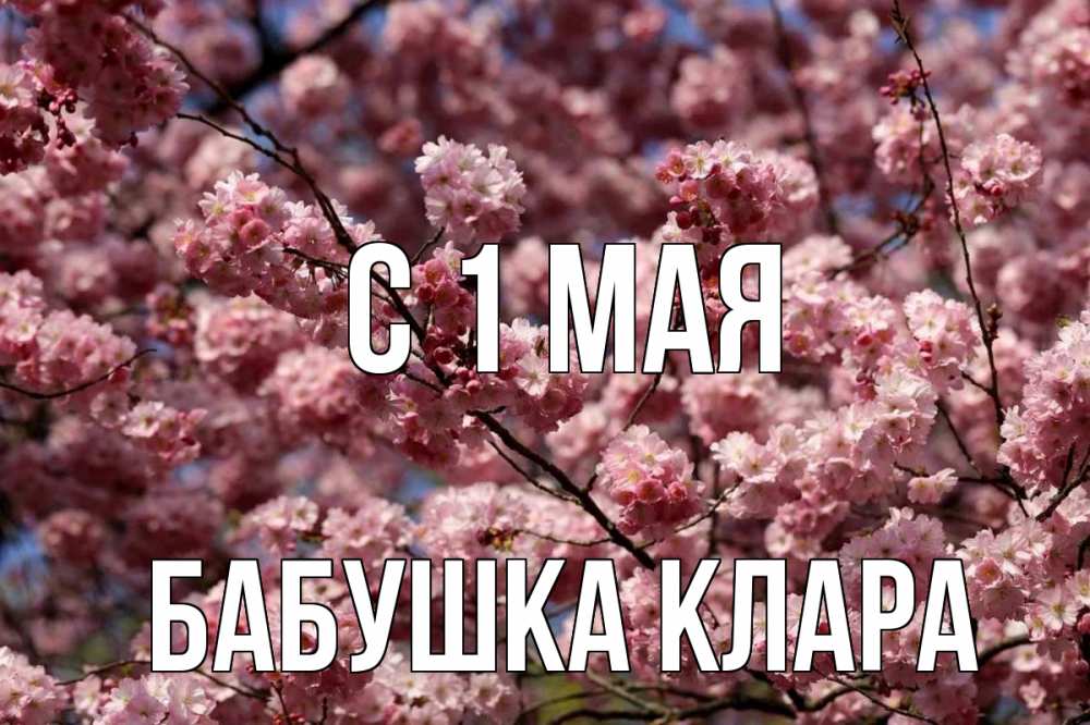 Открытка на каждый день с именем, Бабушка-Клара С 1 мая С 1 мая Прикольная открытка с пожеланием онлайн скачать бесплатно 
