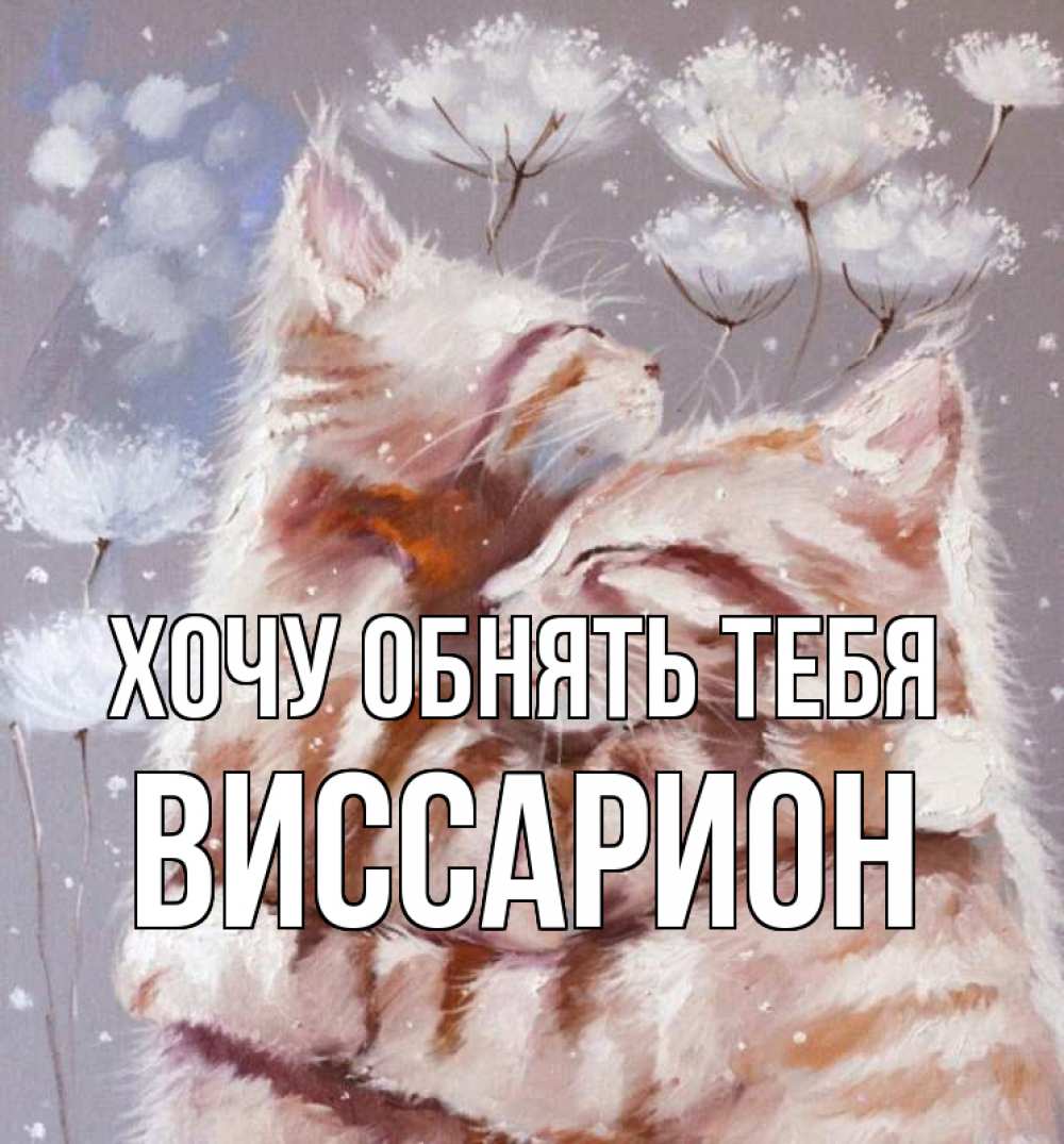 Открытка на каждый день с именем, Виссарион Хочу обнять тебя Море и горы Прикольная открытка с пожеланием онлайн скачать бесплатно 