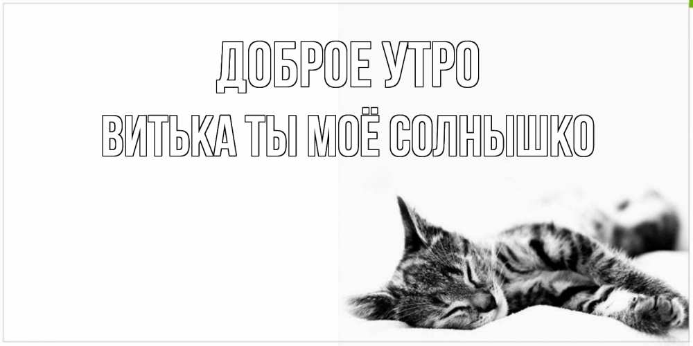 Открытка на каждый день с именем, Витька-ты-моё-солнышко Доброе утро котуся Прикольная открытка с пожеланием онлайн скачать бесплатно 