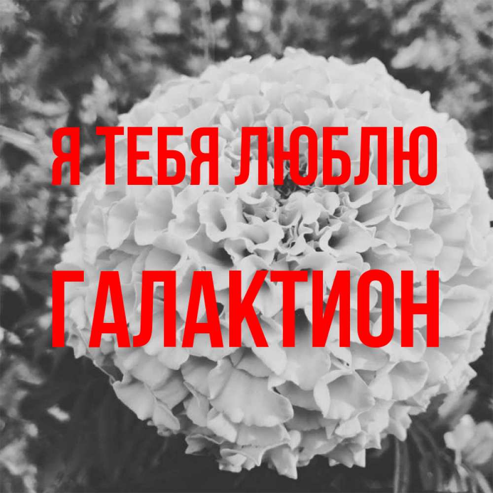 Открытка на каждый день с именем, Галактион Я тебя люблю подпись Прикольная открытка с пожеланием онлайн скачать бесплатно 