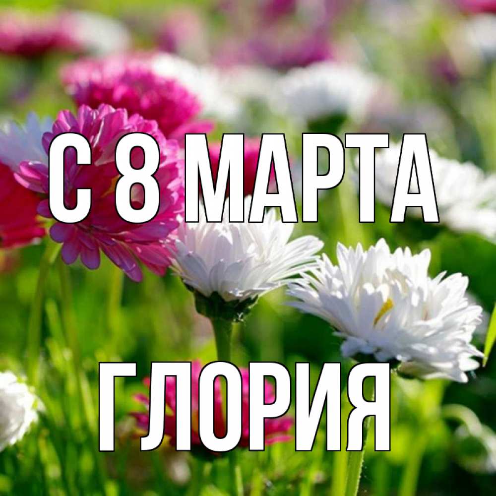 Открытка на каждый день с именем, Глория С 8 марта международный женский день 1 Прикольная открытка с пожеланием онлайн скачать бесплатно 