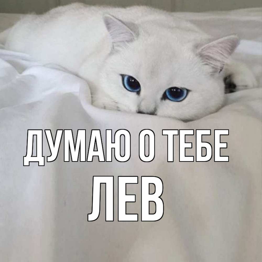 Открытка на каждый день с именем, Лев Думаю о тебе я очень по тебе скучаю и тоскую Прикольная открытка с пожеланием онлайн скачать бесплатно 