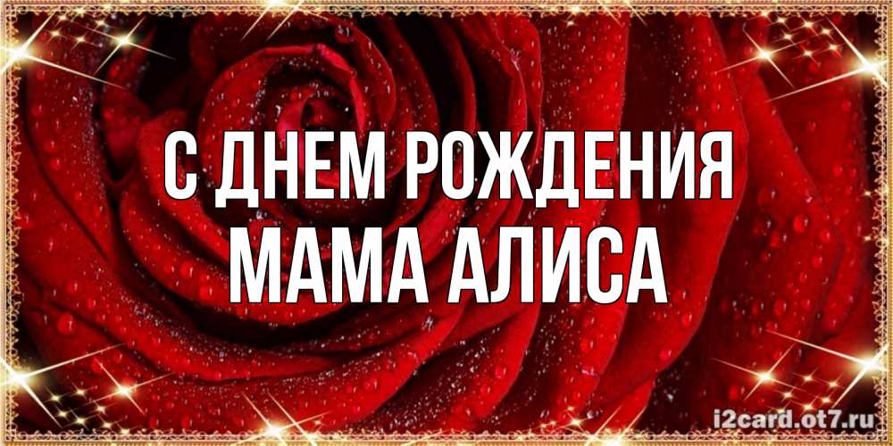 Открытка на каждый день с именем, Мама-Алиса С днем рождения роса на розе блестящая в лучах солнца Прикольная открытка с пожеланием онлайн скачать бесплатно 