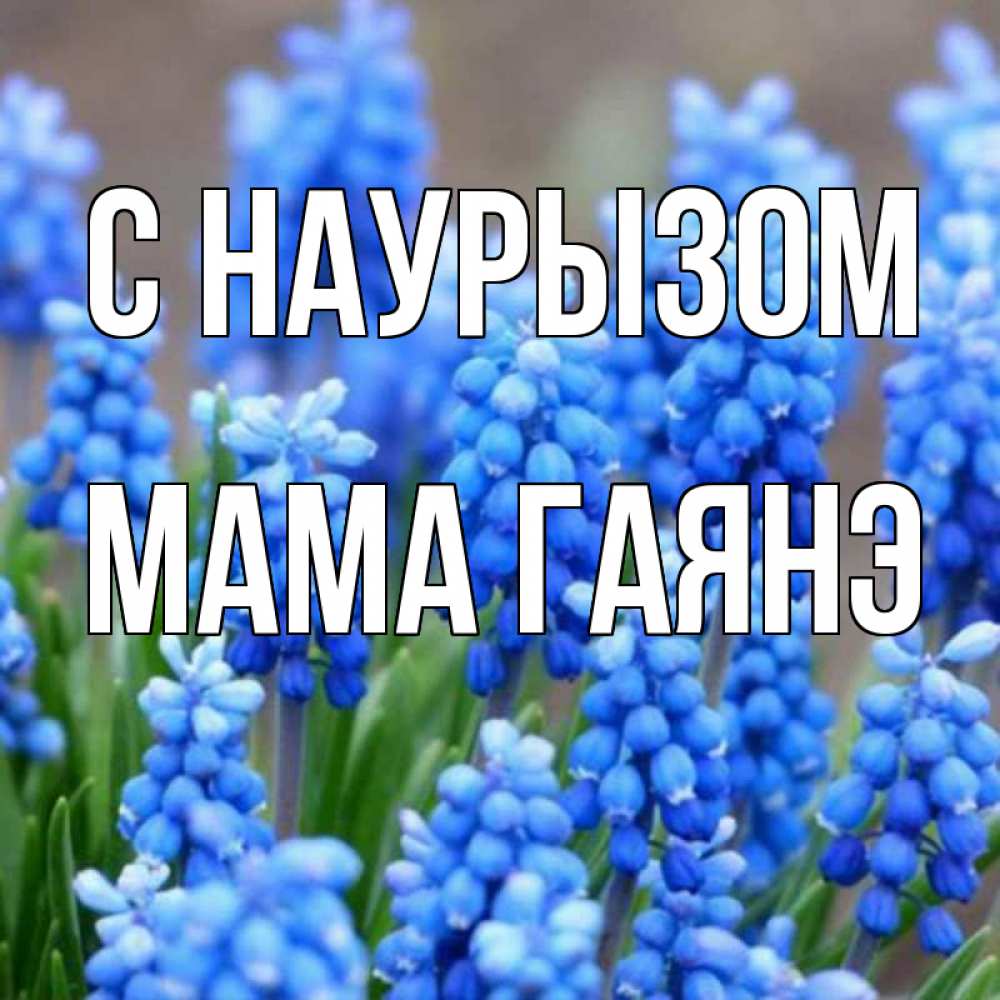 Открытка на каждый день с именем, Мама-Гаянэ С наурызом Поздравительная открытка для женщин с цветами на праздничную дату Прикольная открытка с пожеланием онлайн скачать бесплатно 