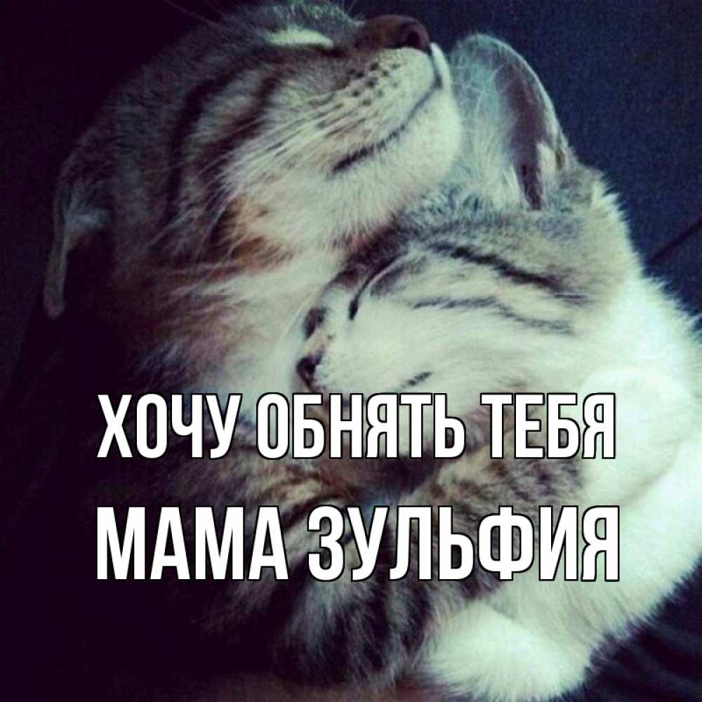 Открытка на каждый день с именем, Мама-Зульфия Хочу обнять тебя полосатики Прикольная открытка с пожеланием онлайн скачать бесплатно 