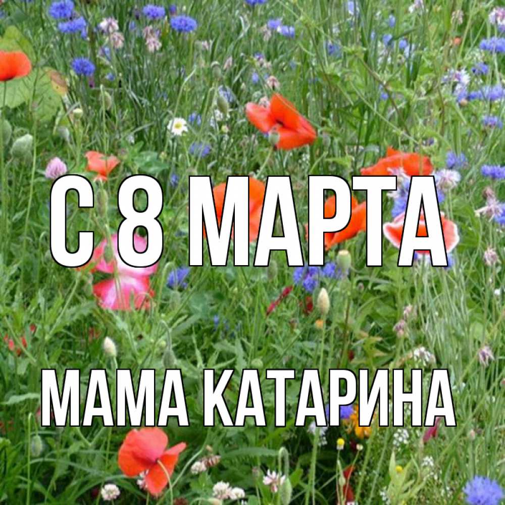 Открытка на каждый день с именем, Мама-Катарина С 8 МАРТА международный женский день 4 Прикольная открытка с пожеланием онлайн скачать бесплатно 
