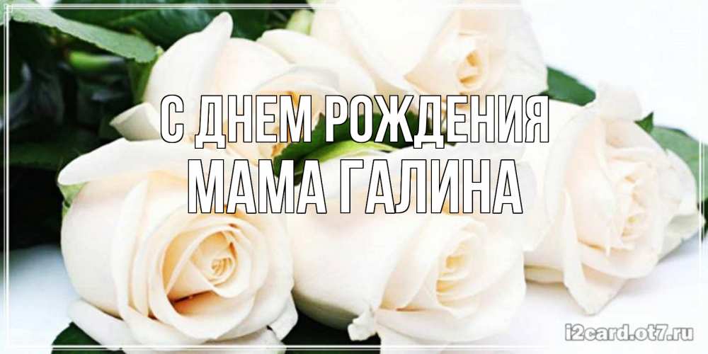 Открытка на каждый день с именем, Мама-галина С днем рождения открытка с красивыми белыми розами для родных Прикольная открытка с пожеланием онлайн скачать бесплатно 
