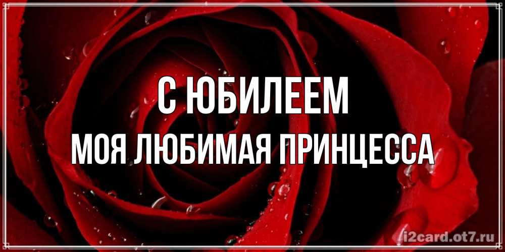 Открытка на каждый день с именем, Моя-Любимая-Принцесса С юбилеем крупная бордовая роза Прикольная открытка с пожеланием онлайн скачать бесплатно 