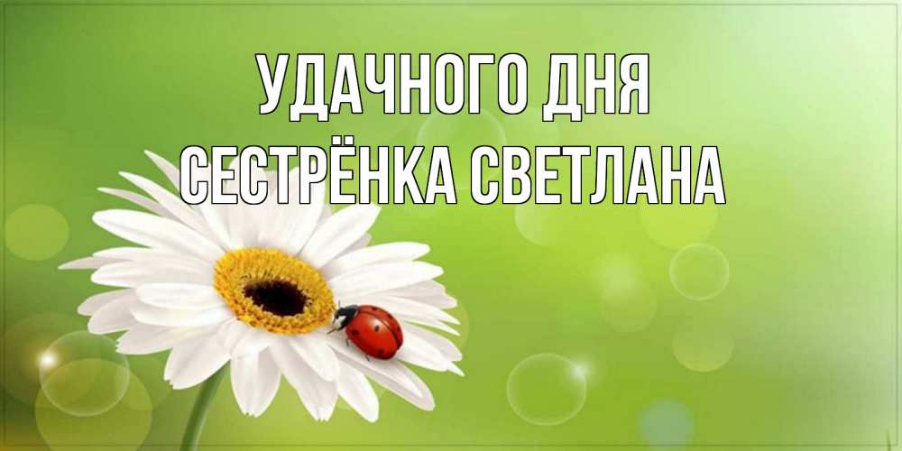 Открытка на каждый день с именем, Сестрёнка-Светлана Удачного дня зеленый фон и ромашка Прикольная открытка с пожеланием онлайн скачать бесплатно 