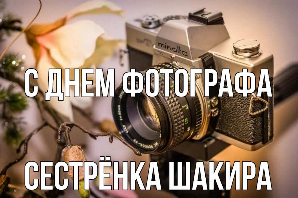 Открытка на каждый день с именем, Сестрёнка-Шакира С днем фотографа с днем фотографа 1 Прикольная открытка с пожеланием онлайн скачать бесплатно 