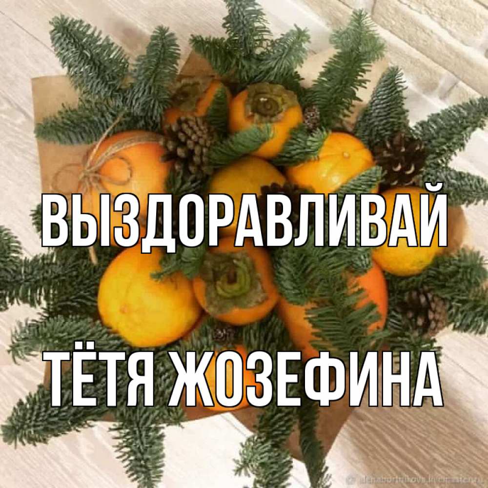 Открытка на каждый день с именем, Тётя-Жозефина Выздоравливай апельсины и хурьма Прикольная открытка с пожеланием онлайн скачать бесплатно 