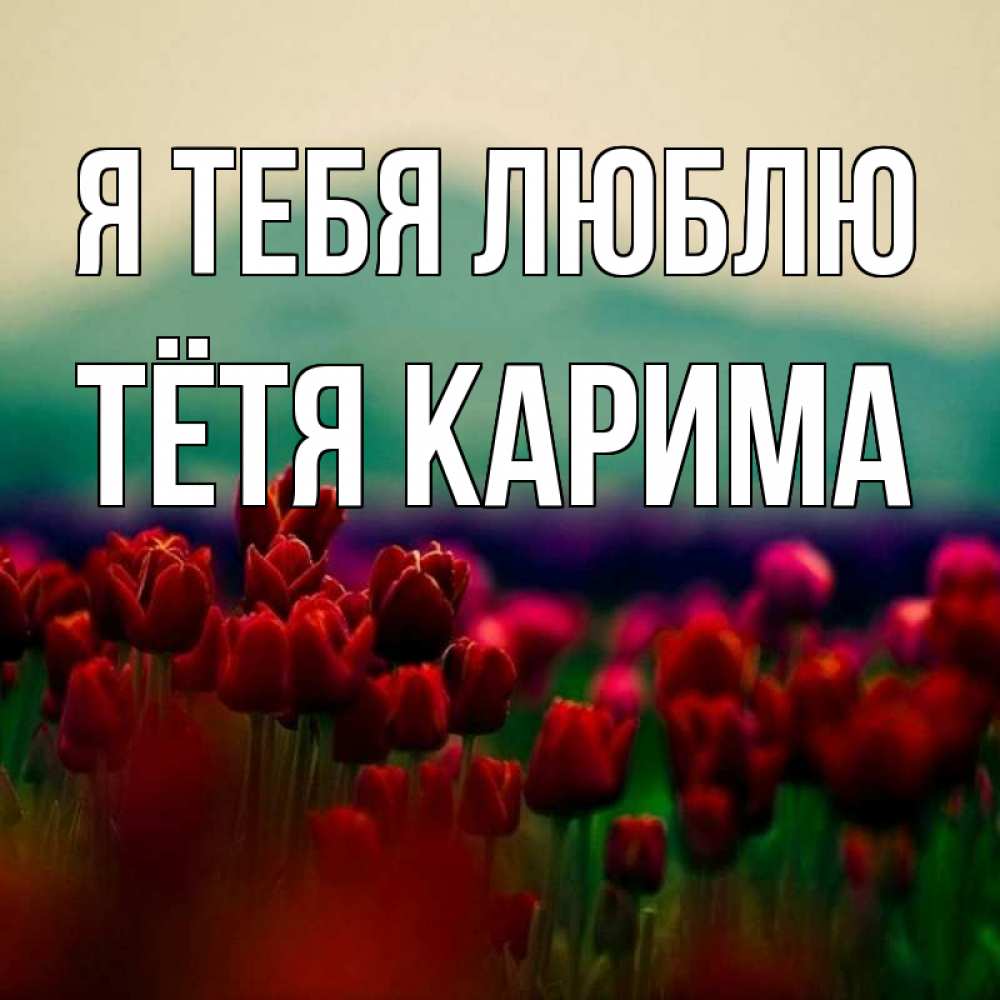 Открытка на каждый день с именем, Тётя-Карима Я тебя люблю тюльпаны 4 Прикольная открытка с пожеланием онлайн скачать бесплатно 