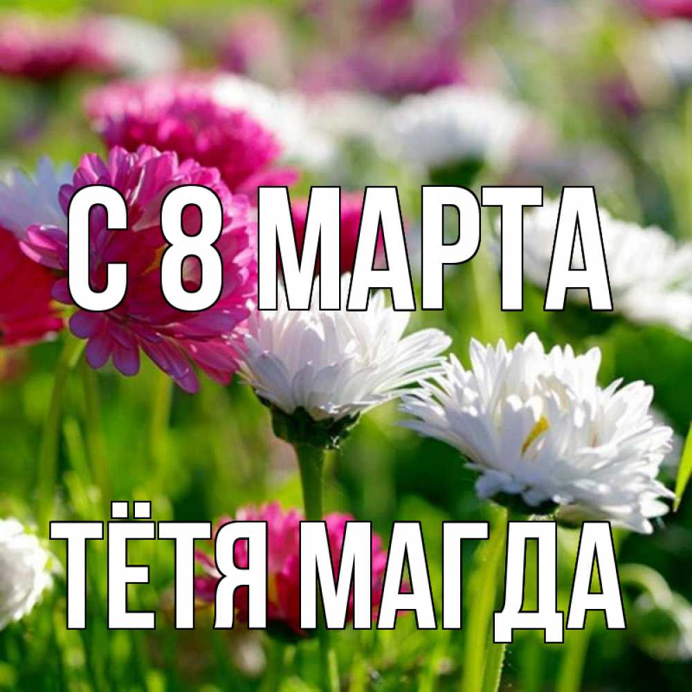 Открытка на каждый день с именем, Тётя-Магда С 8 МАРТА международный женский день 1 Прикольная открытка с пожеланием онлайн скачать бесплатно 