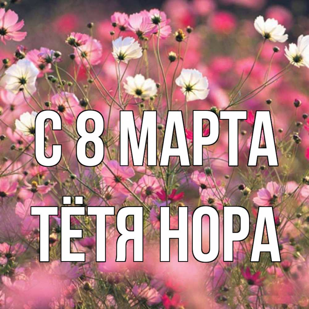 Открытка на каждый день с именем, Тётя-Нора С 8 МАРТА красиво 1 Прикольная открытка с пожеланием онлайн скачать бесплатно 